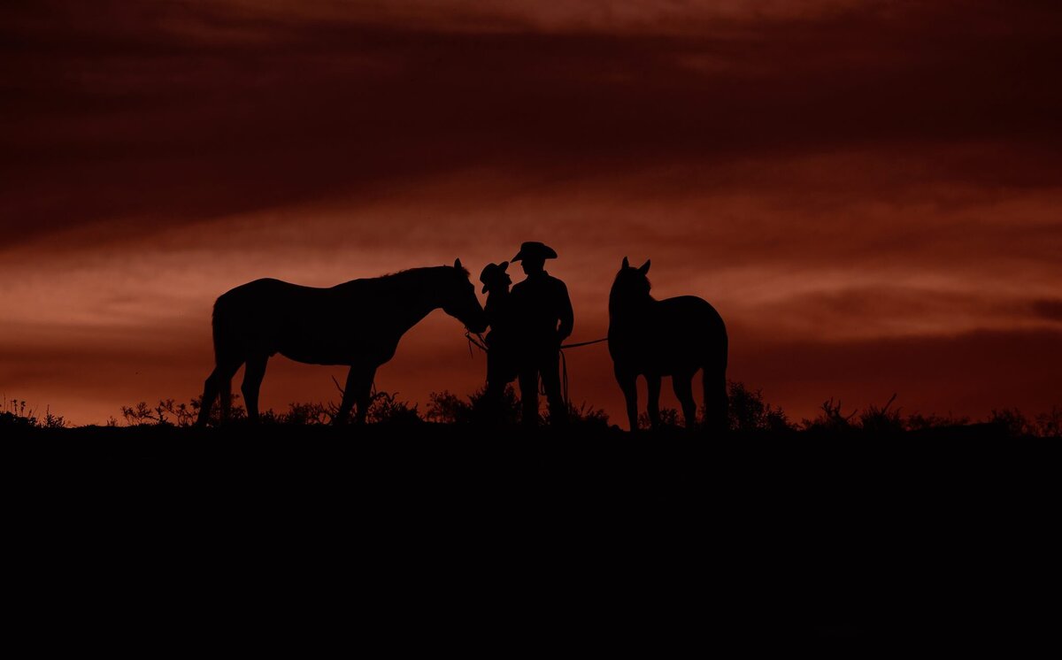 Texas Equine Photographer