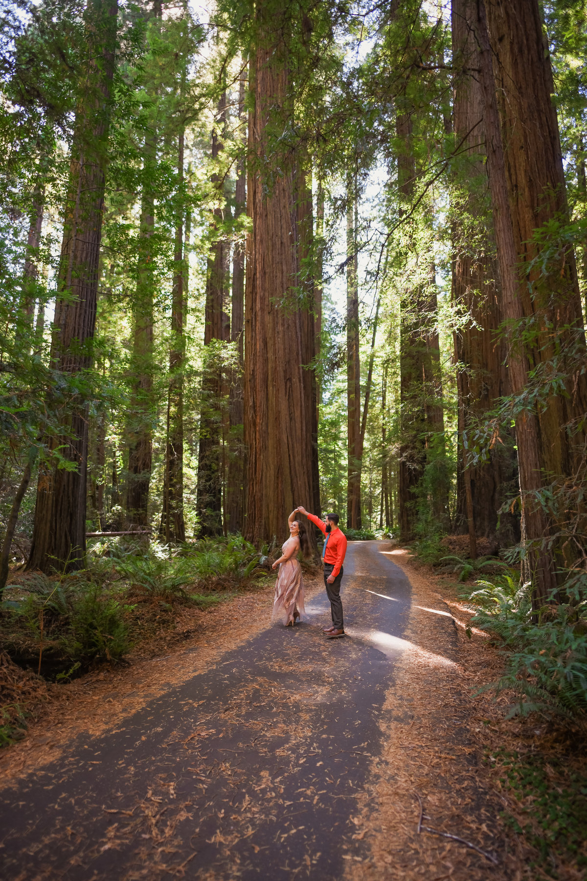 Redway-California-engagement-photographer-Parky's-Pics-Photography-Redwoods-Avenue-of-the-Giants-engagement-10.jpg
