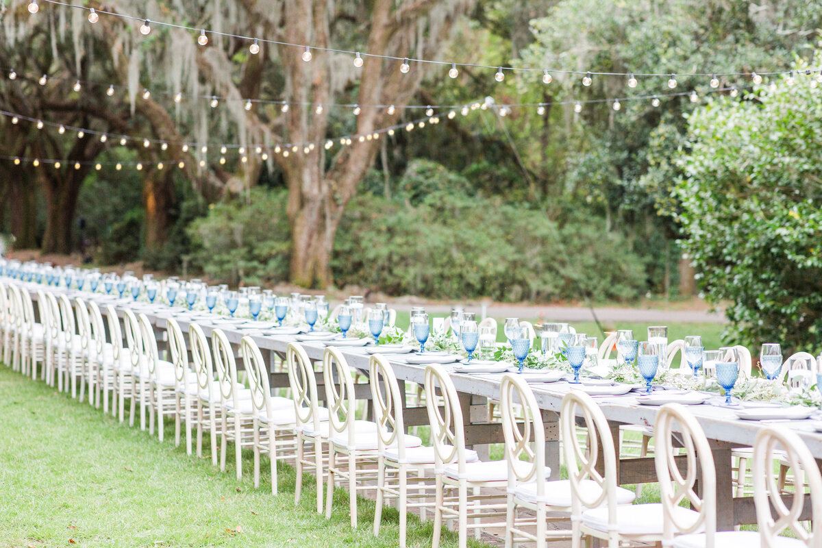 Outdoor_Charleston_Legare_Waring_House_Blue_Wedding-87