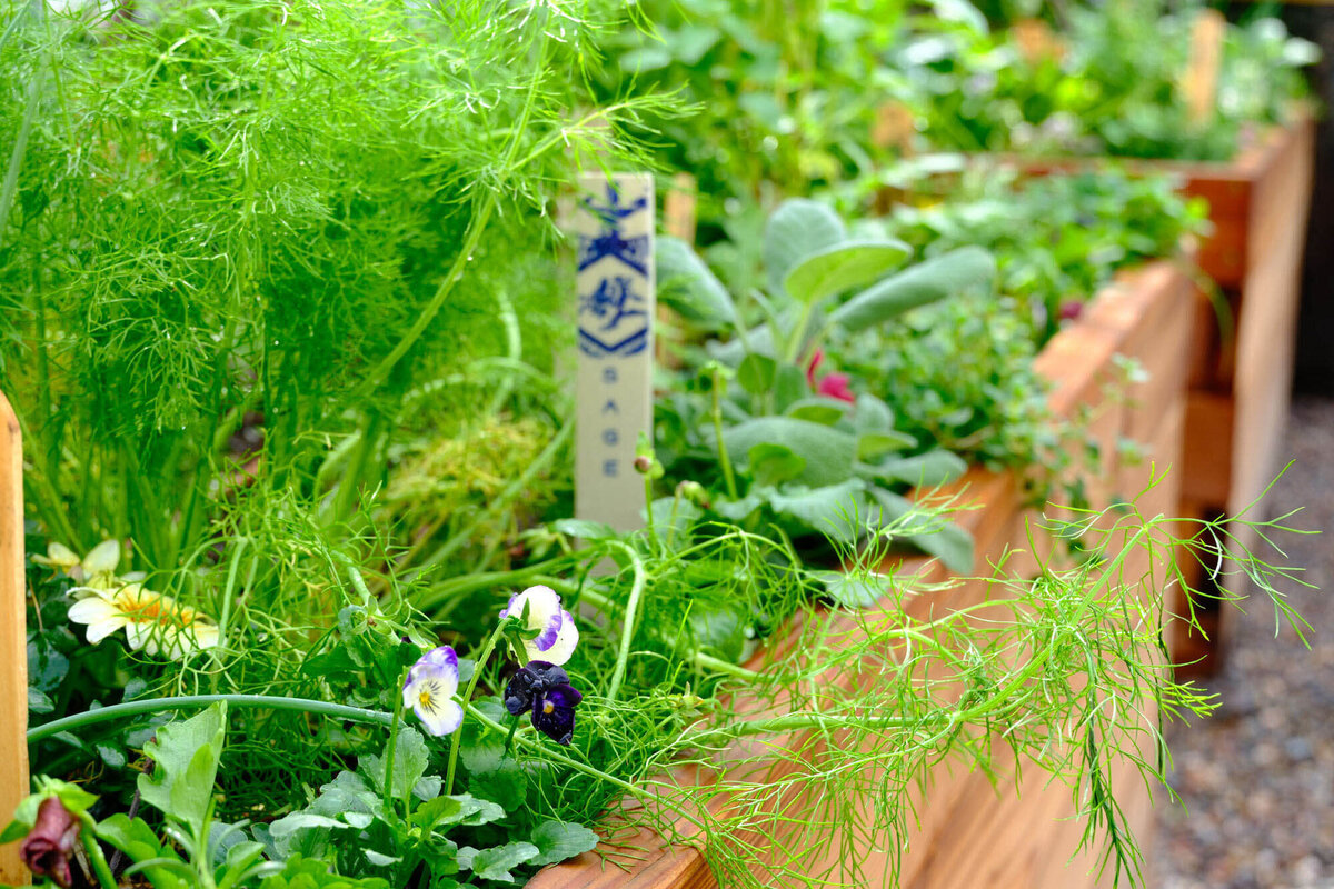 Willows-Garden-Le-Potager25