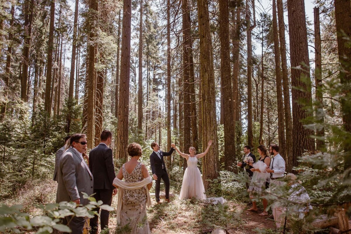 California forest wedding with family