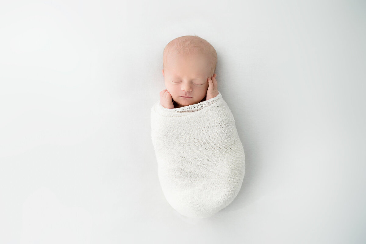 Loudoun County Newborn Photographer-01