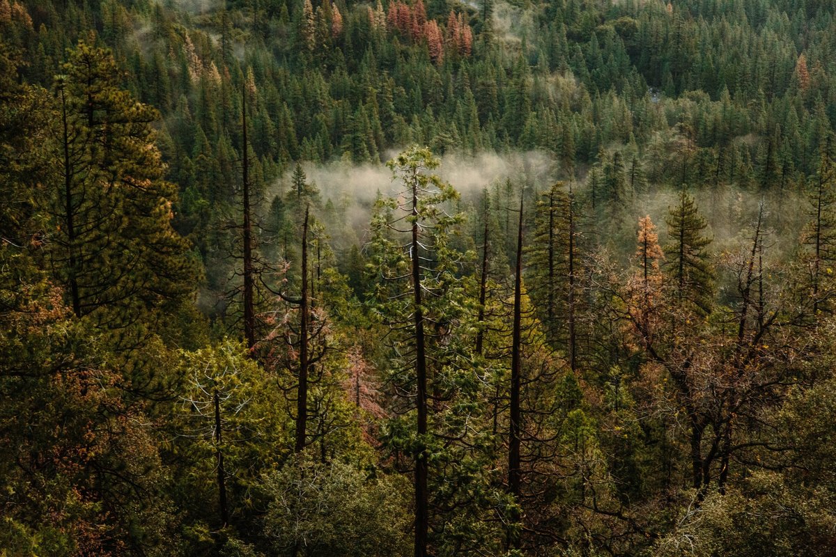 nathan-dumlao-JFWZAABDDOo-unsplash