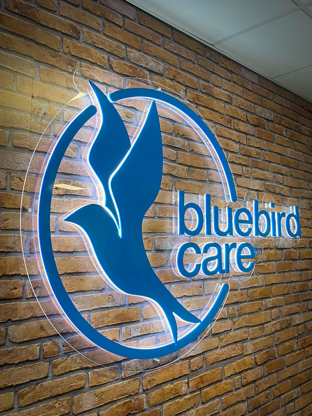 Bluebird Care Illuminated Sign