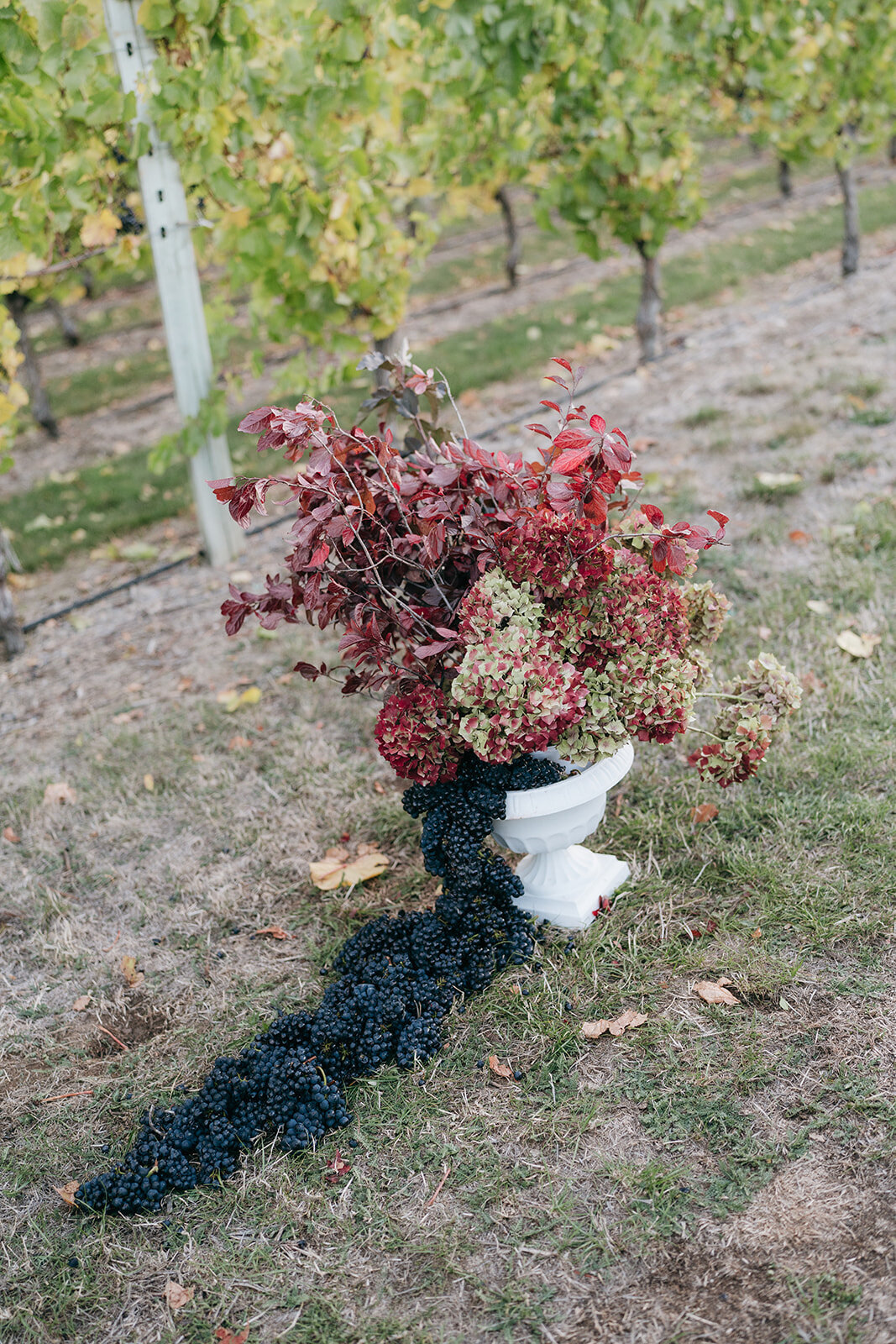 Melissa Clark Photography - Queenstown Wedding Photographer - Central Otago Styled Shoot-336