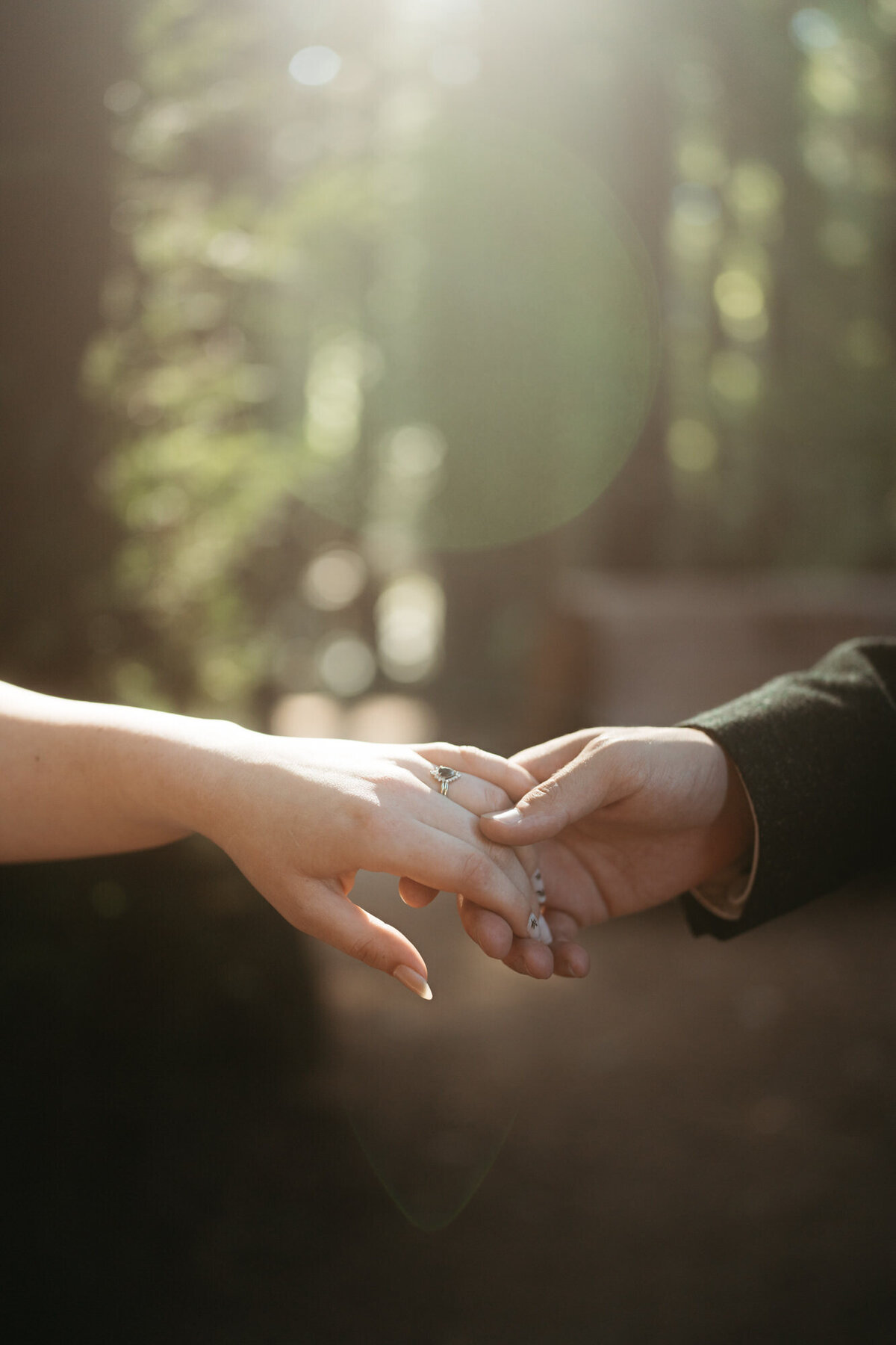 the_chaffins_international_destination_wedding_elopement_photographers_sammie_chaffin_micah_editorial_adventure_photos_travel_redwoods_national_park_19