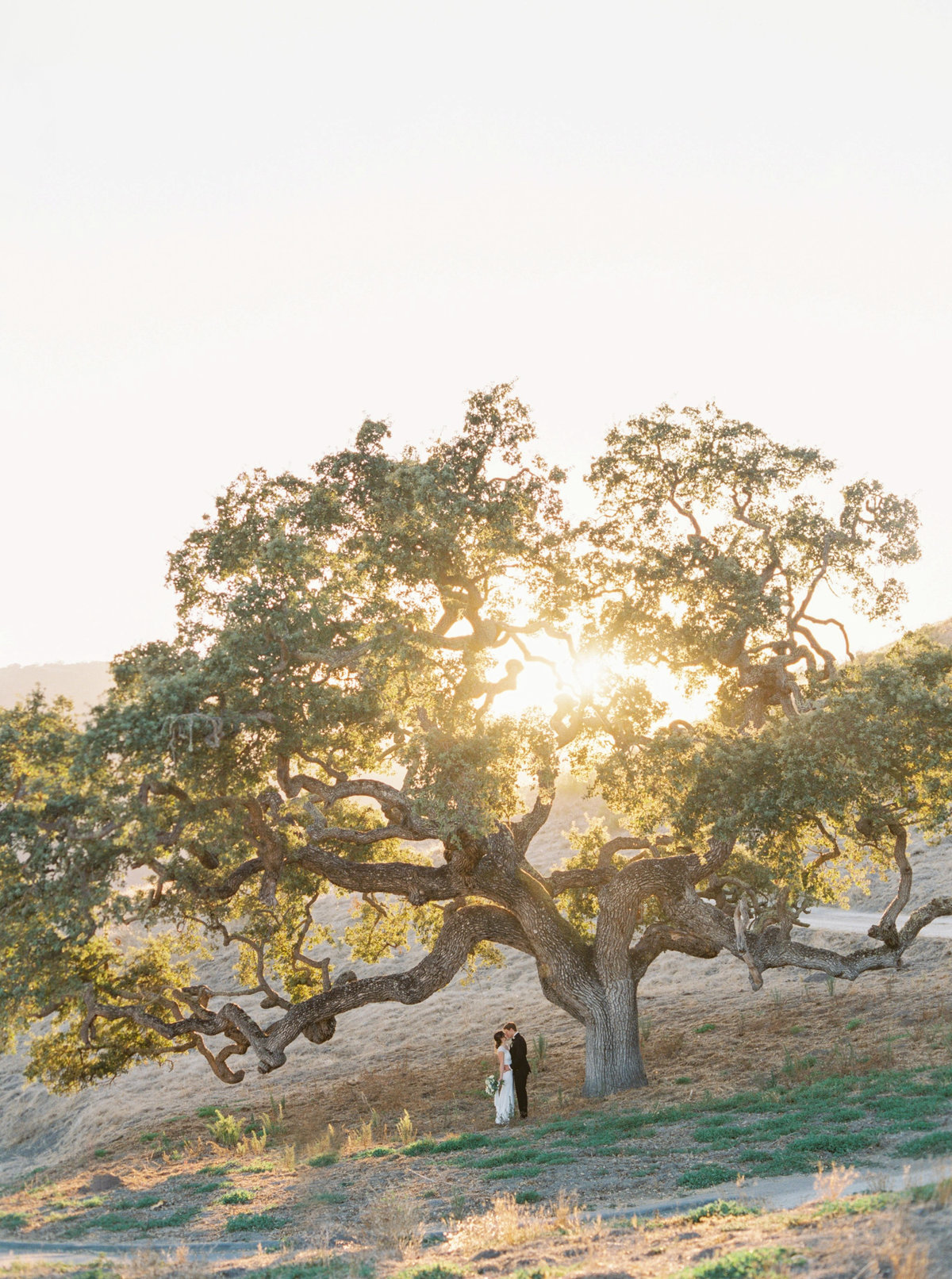 Katie + Jordan Carmel Valley Holman Ranch Wedding Sneak Peeks - Cassie Valente Photography 0011