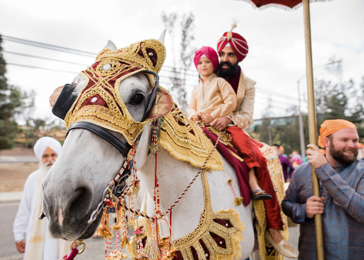Horse in Baraat during Sikh Indian Wedding in San Diego