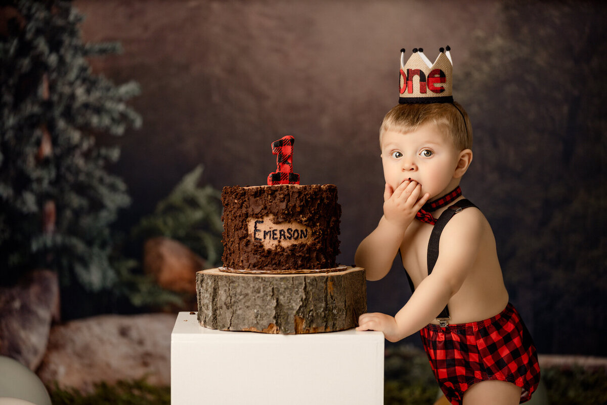 baby boy lumberjack cake smash photos by for the love of photography grand rapids