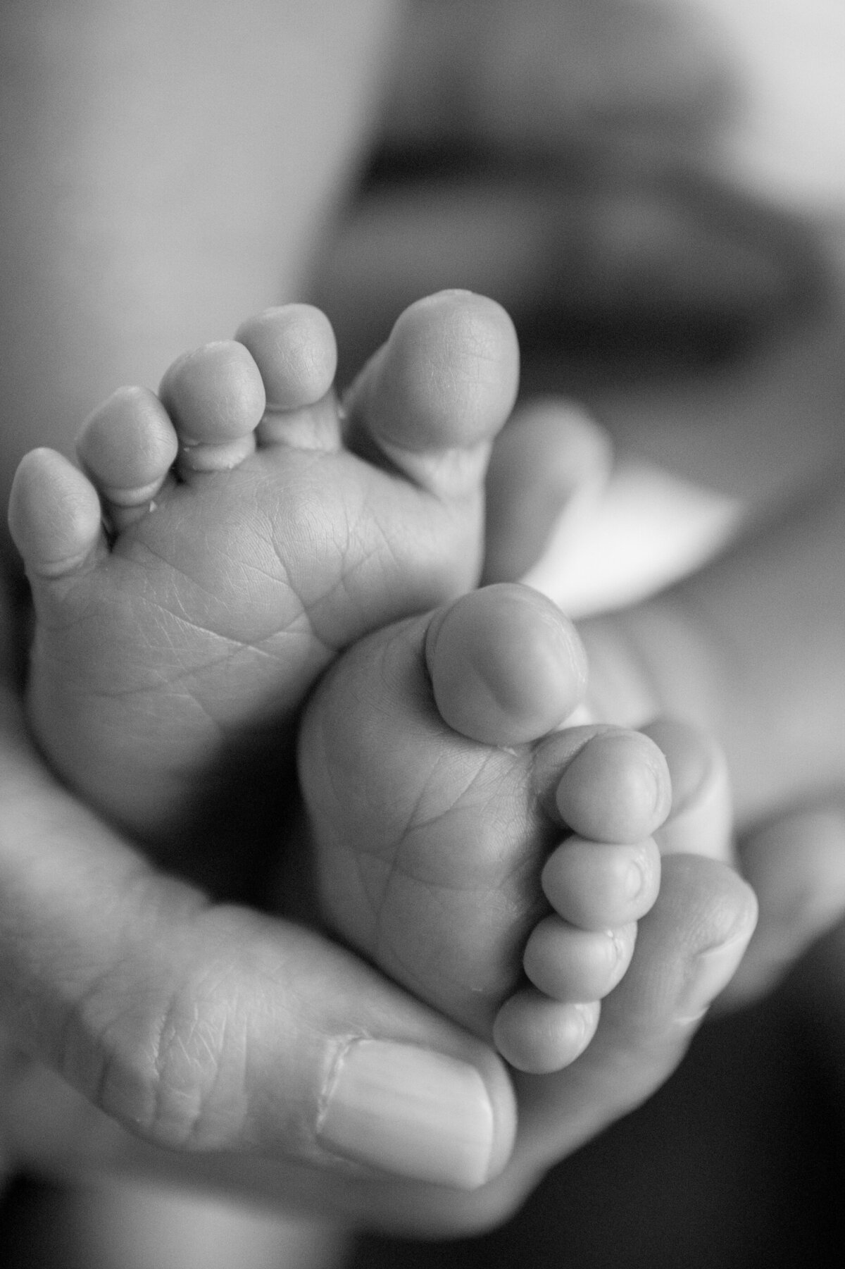 black and white detail shot of baby feet sleeping newborn baby boy New York baby photographer Milestone Images