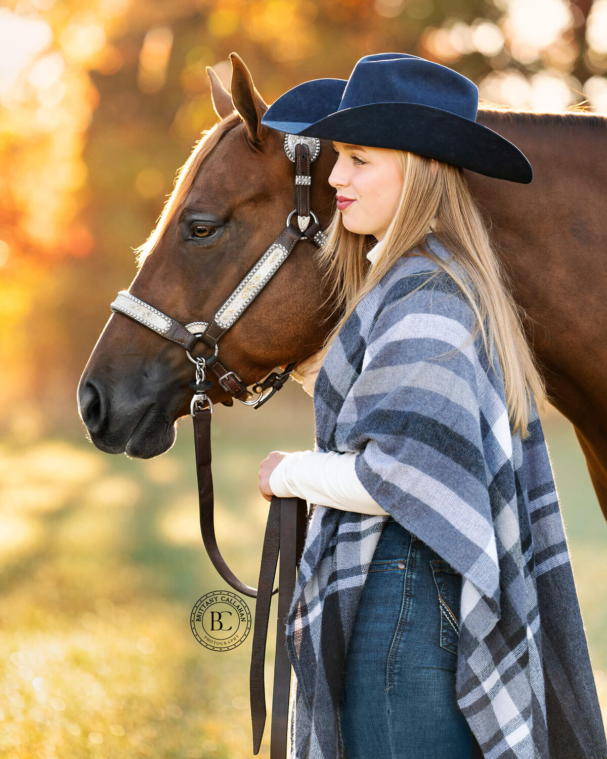 Southern-illinois-horse-photographer-#35