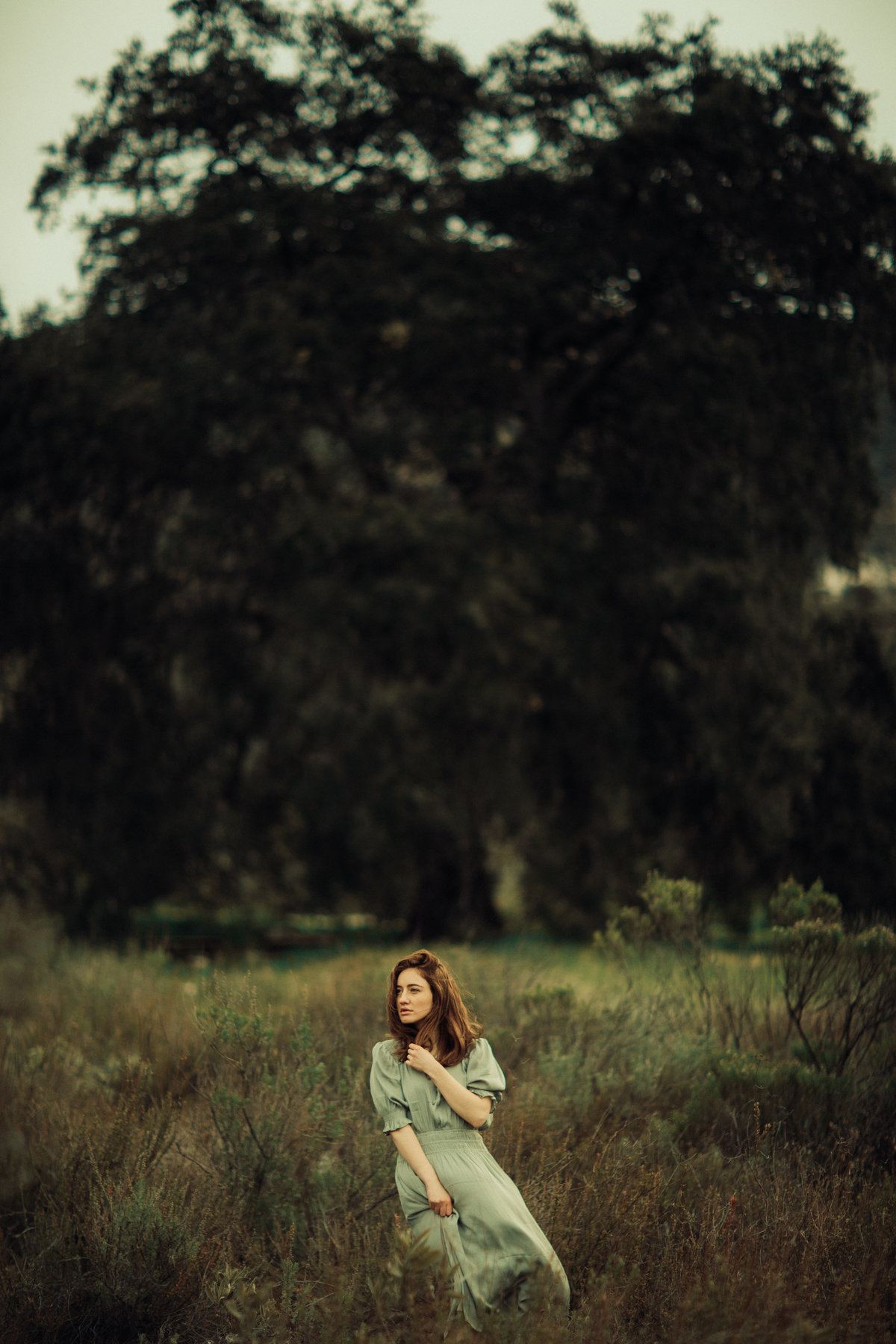 Portrait Photo Of Young Woman With Her Dress Being Blown By The Wind In The Middle Of a Meadow Los Angeles