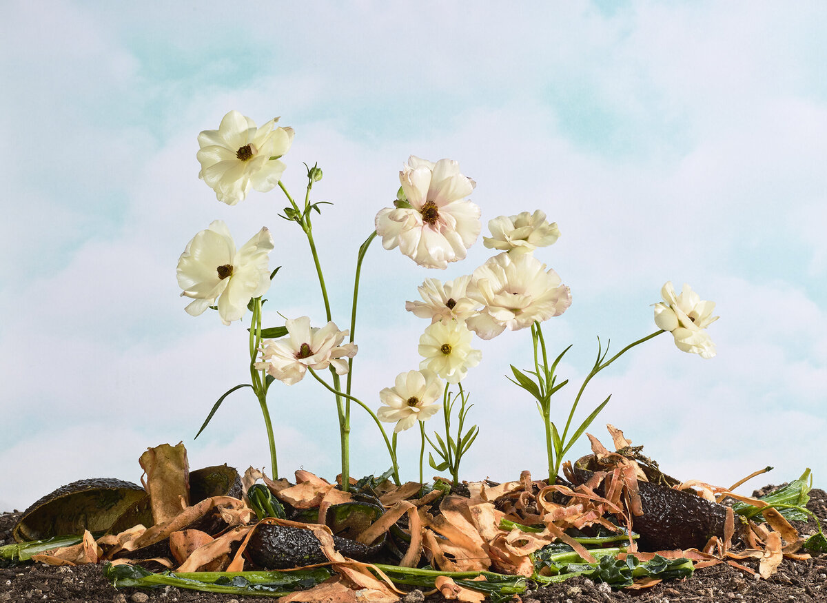 los-angeles-product-photographer-lindsay-kreighbaum-florals-mushrooms-still-life-6