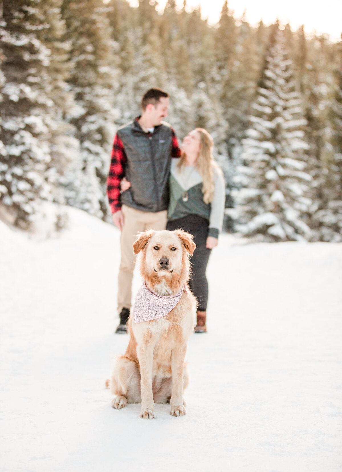 A golden retriever is in the middle of the photo with a newly engaged couple out of focus behind it. The man and woman are looking at each other with a winter scene of trees and snow behind them
