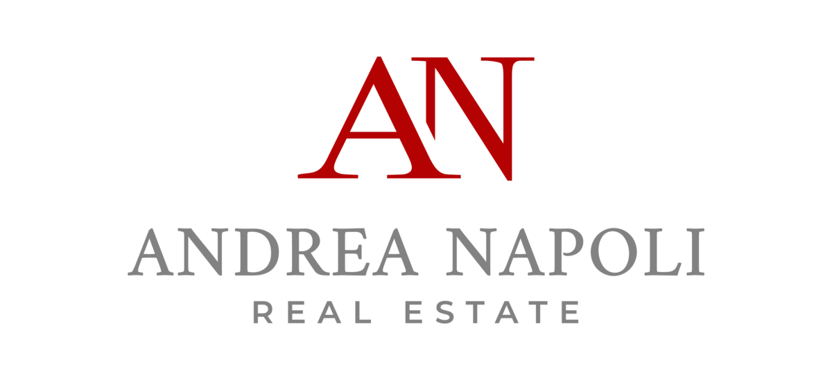 AN Real Estate logo