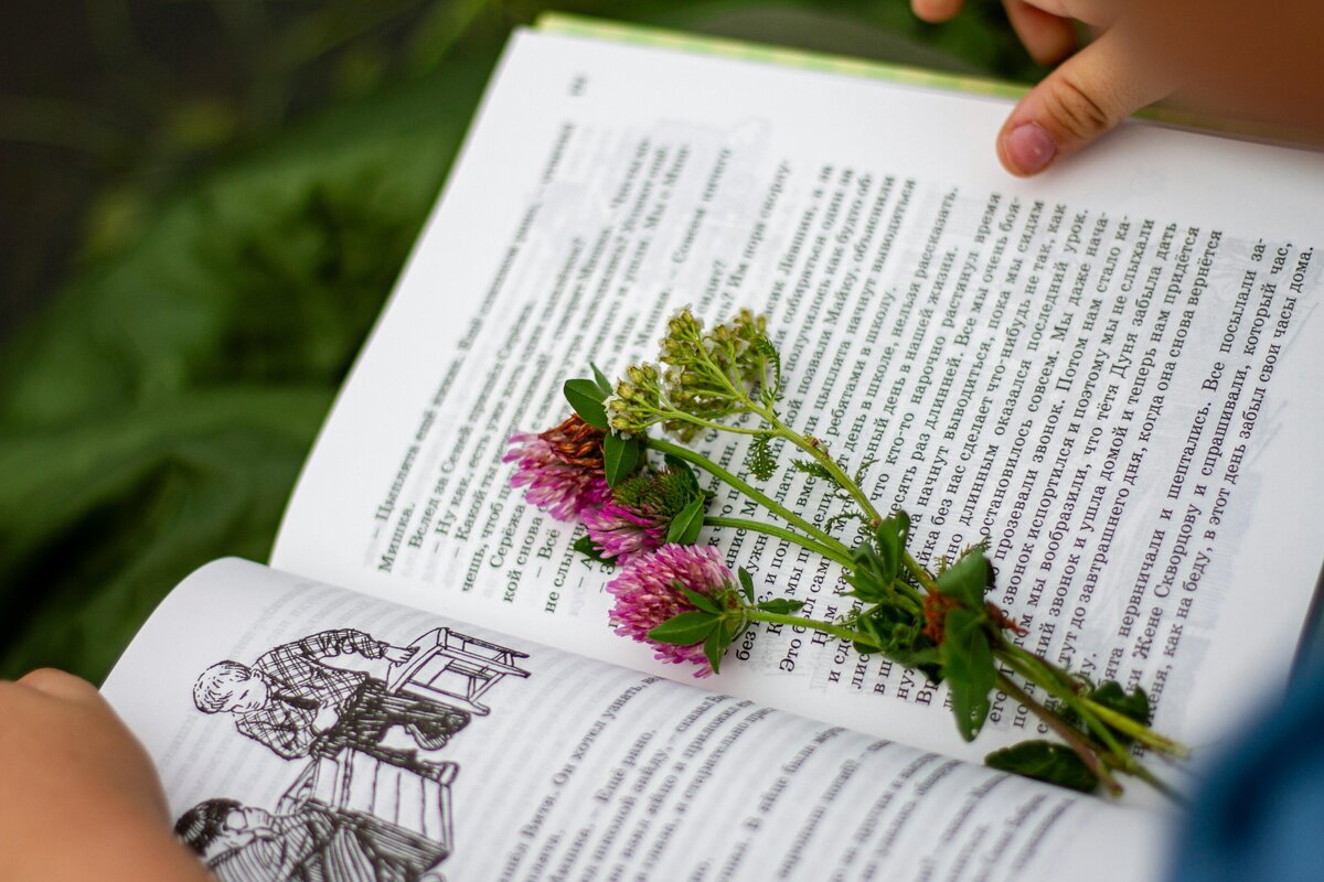 pexels-alena-17428585