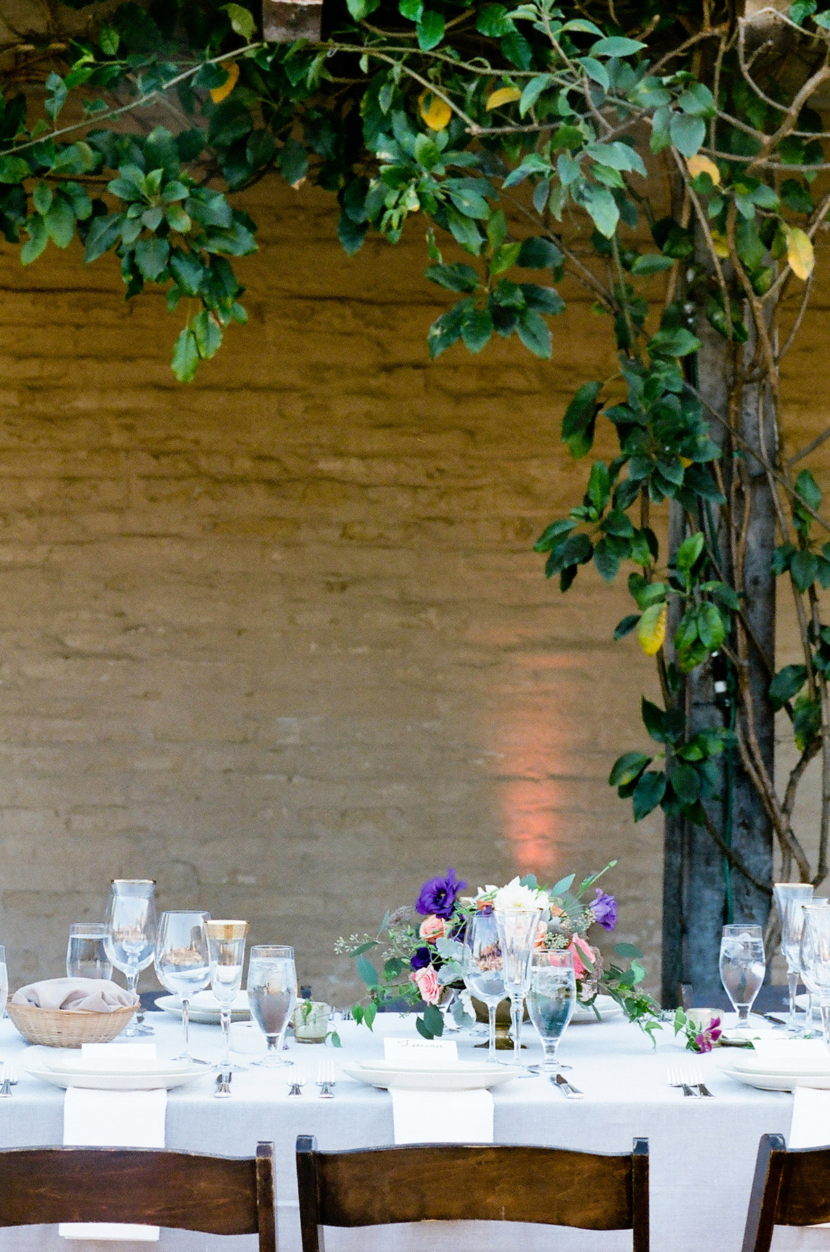 alex_toast_event_christianne_taylor_photos_photography_film_alex_solomon_alexandra_michael_toast_santa_barbara_el_presidio_mission_rustic_elegant_wedding_marry_-675