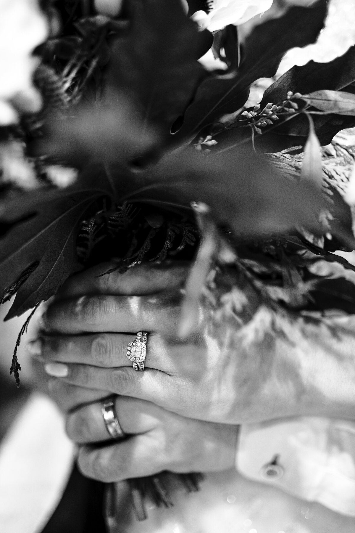 pexels-danielle-pilon-2496371