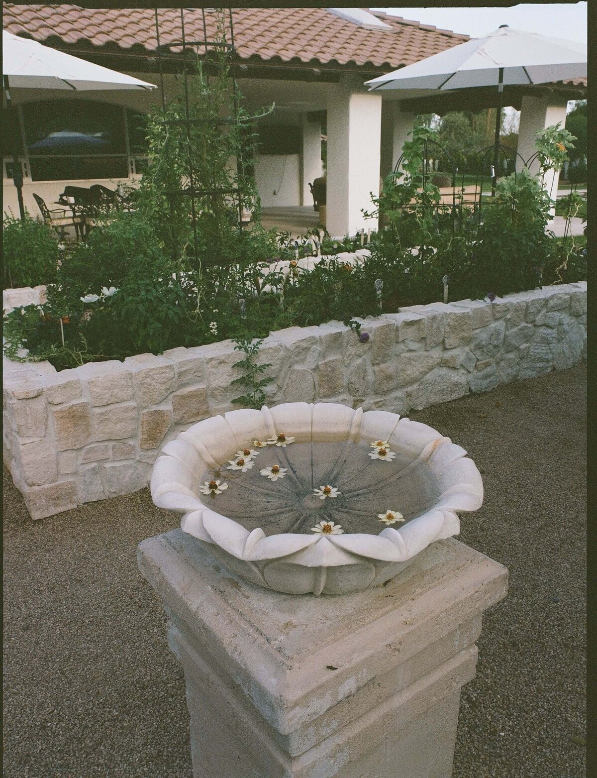 Garden-Birdbath-Film