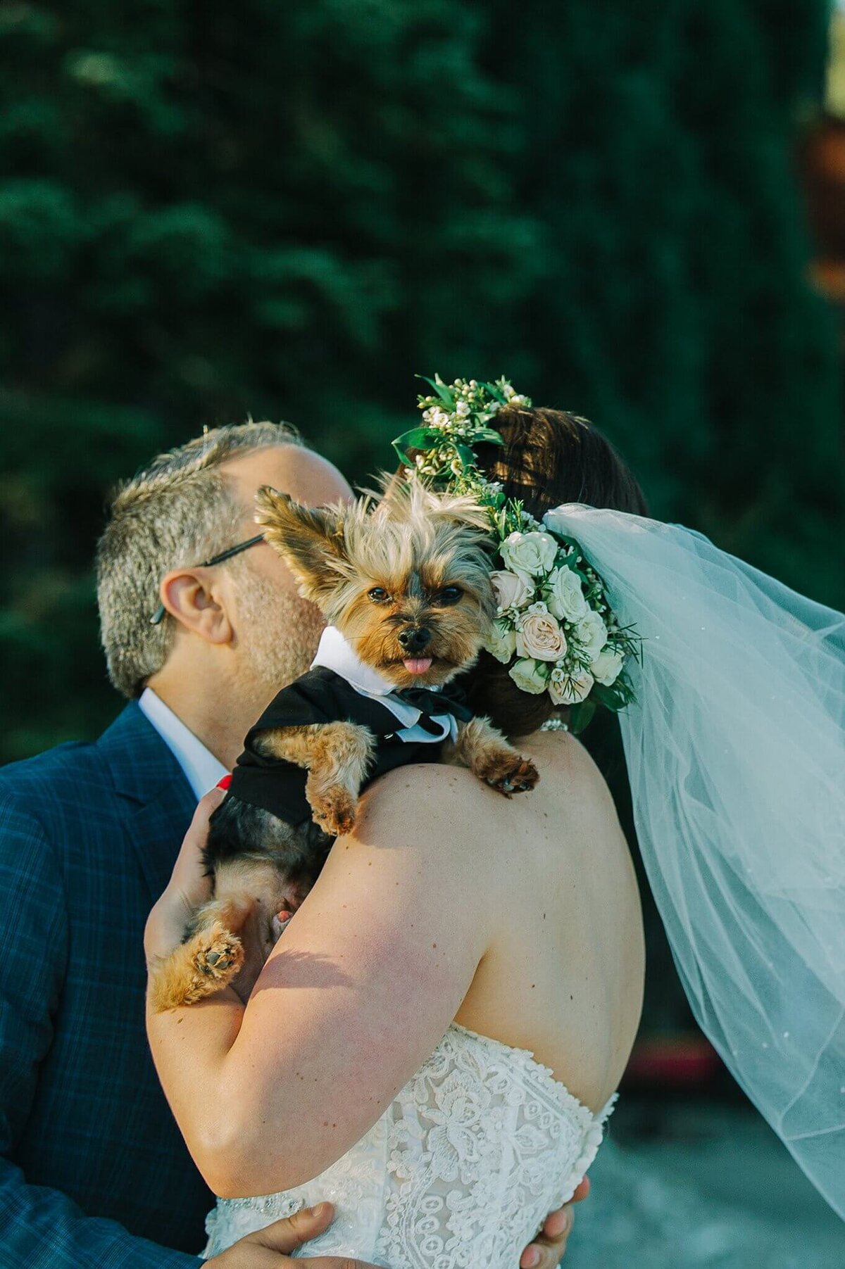 bride and groom kissing behind thier  small dog