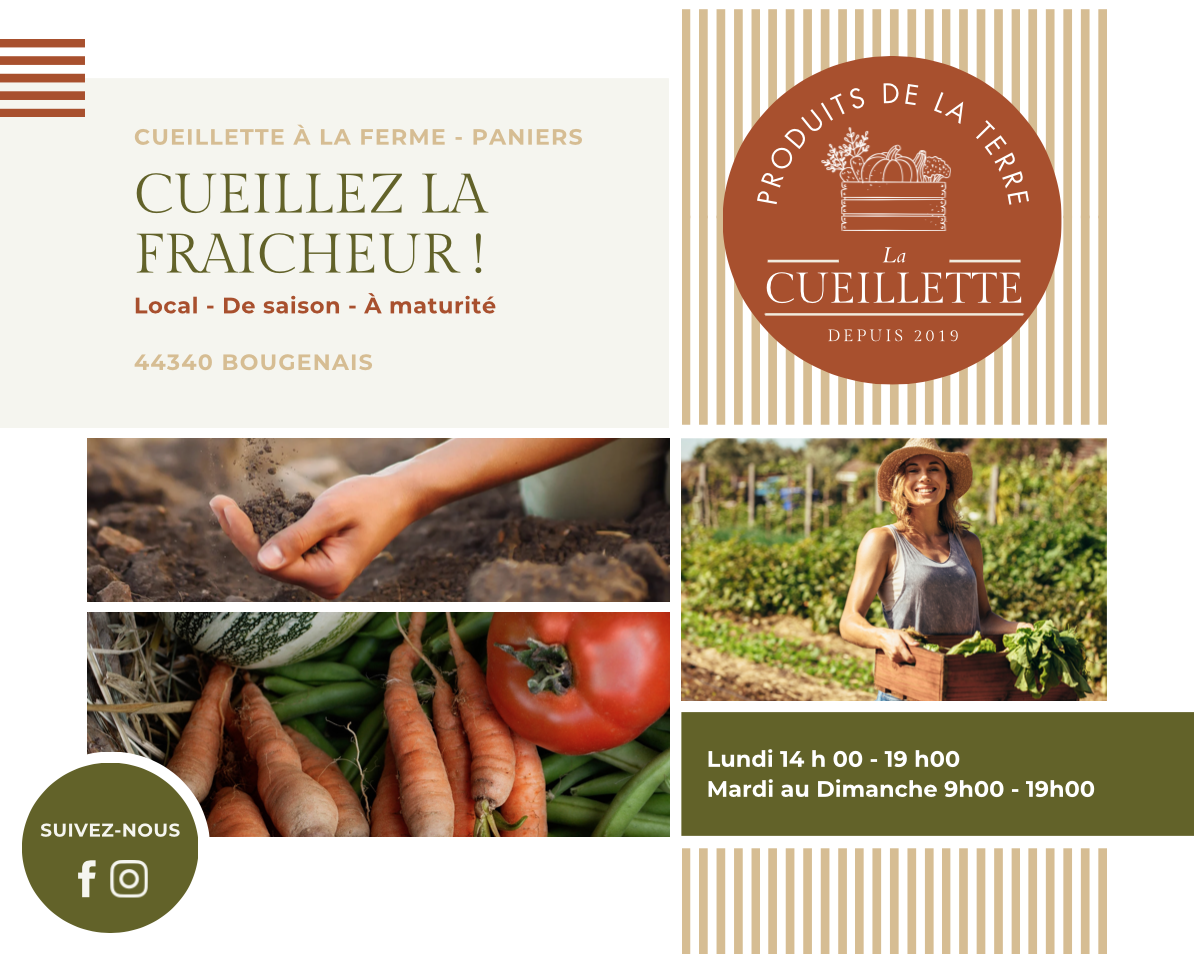 la cueillette affiche portfolio herbier graphique