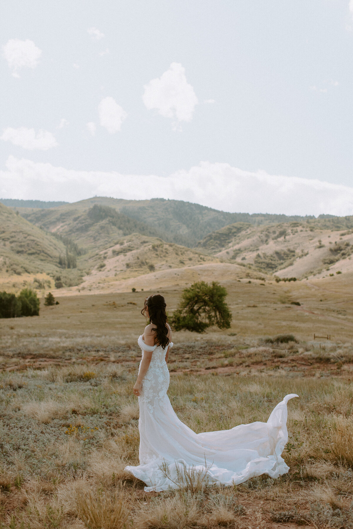 AhnaMariaPhotography_Wedding_Colorado_Fiona&David-62
