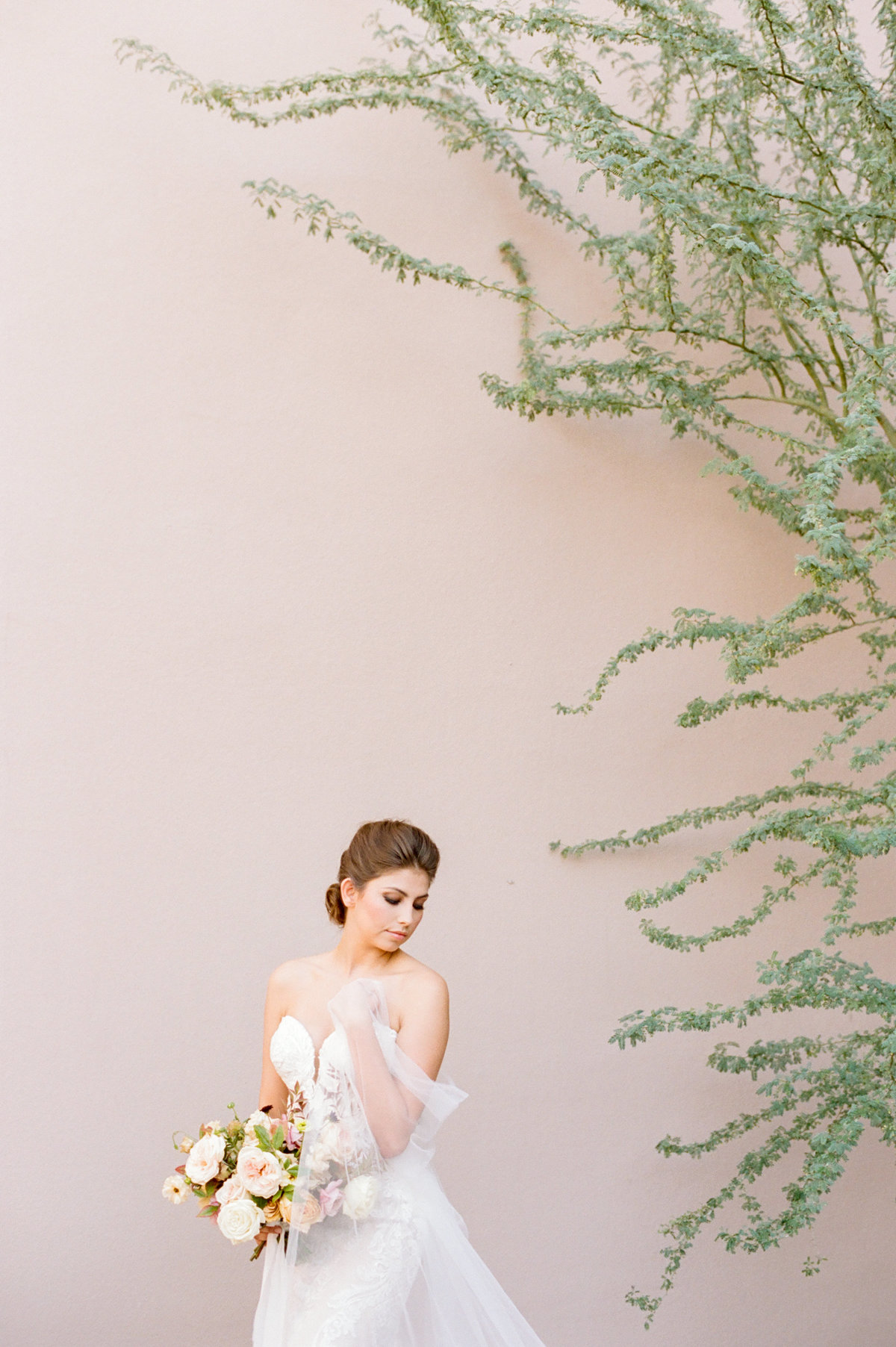 bride in front of pink wall with green cactus branches