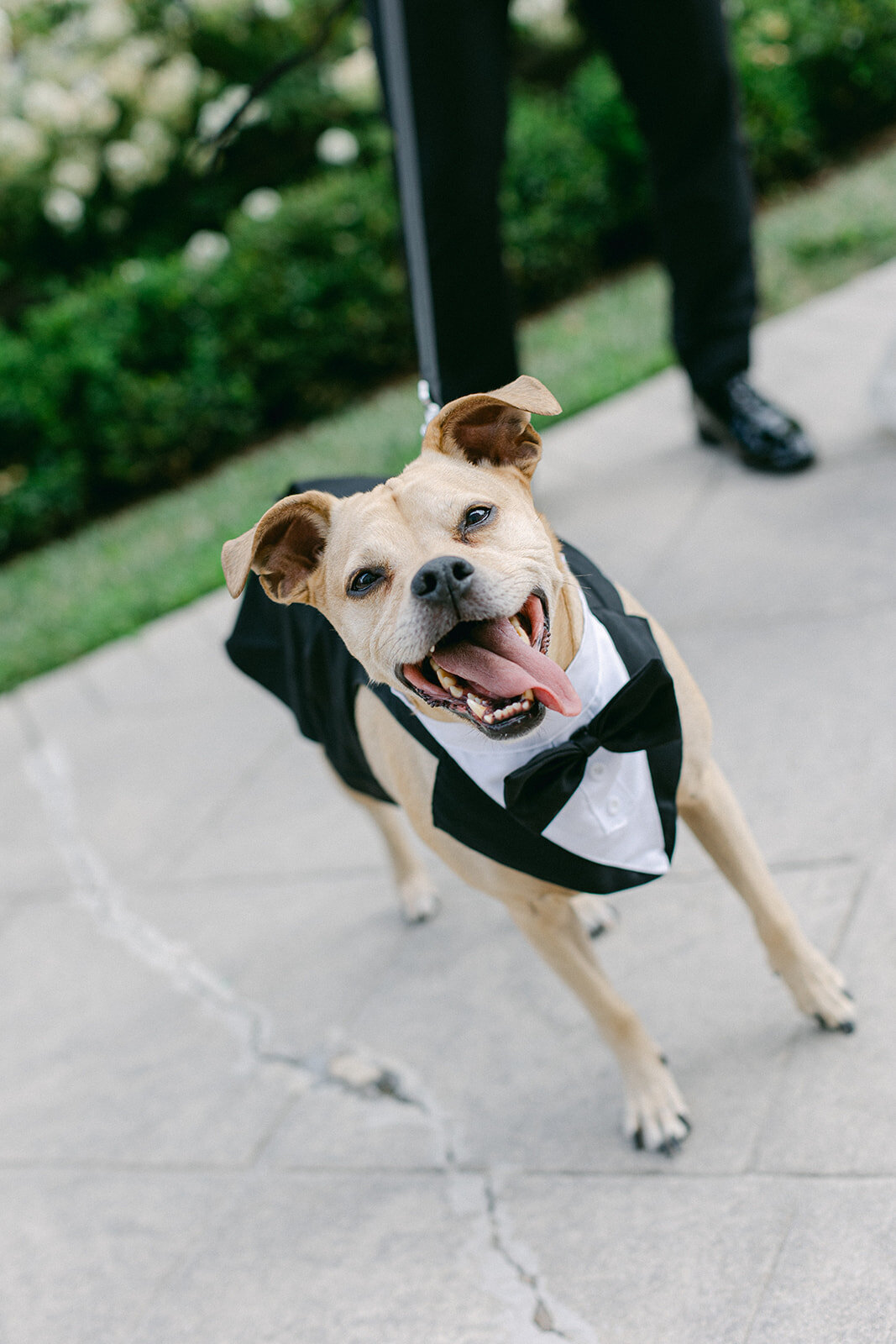 Chic outdoor wedding ceremony at Nemacolin resort in Pennsylvania