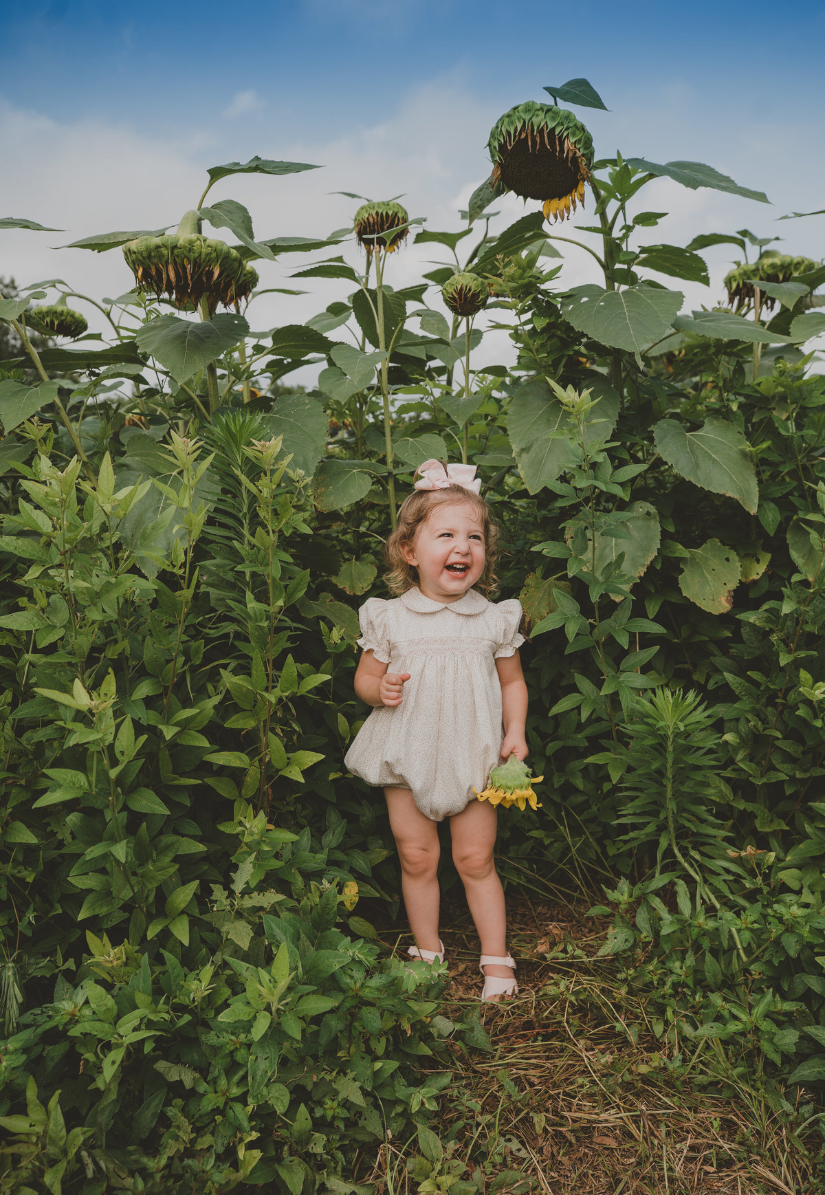 epic sunflower portraits for kids knoxville