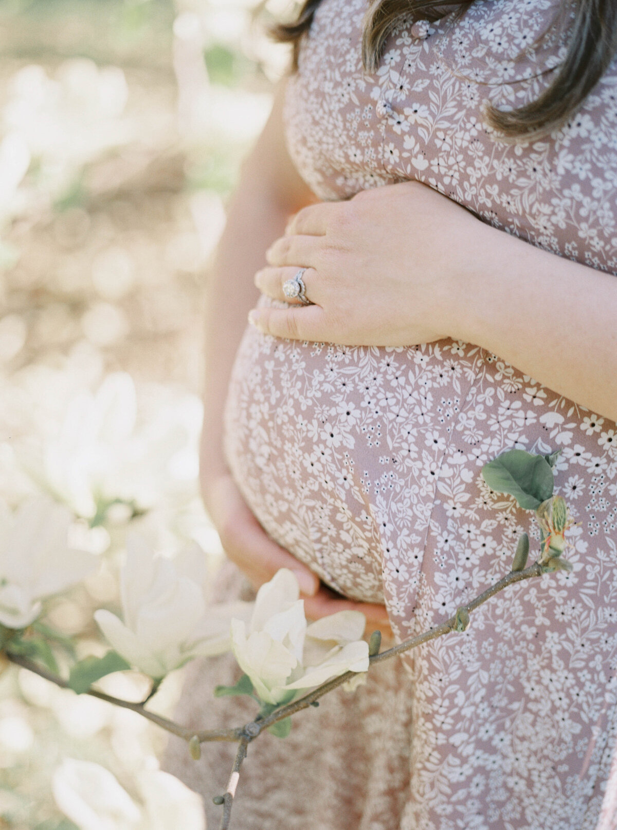 highland park magnolia maternity session rochester