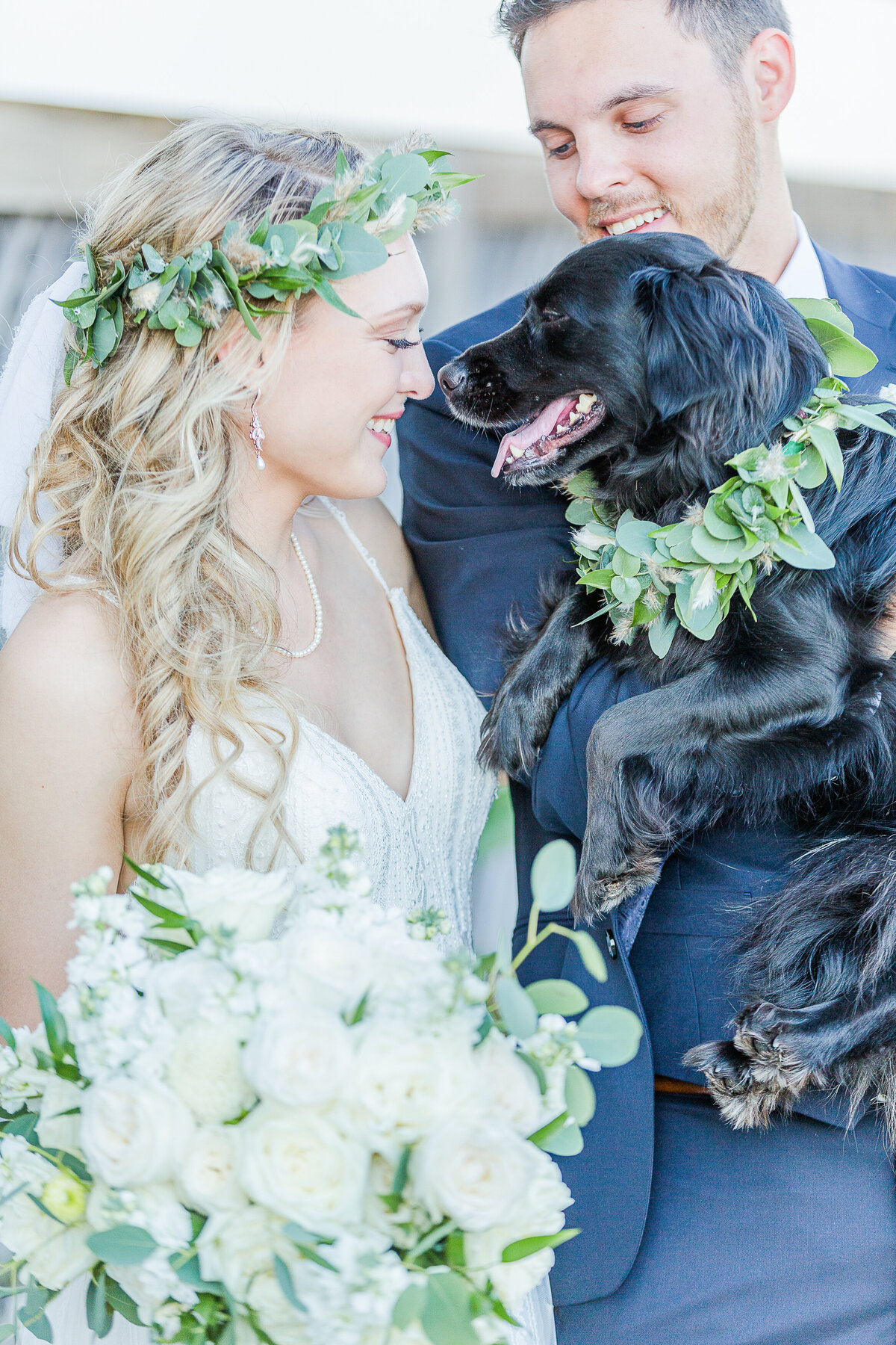 Bride and groom pose for a fun wedding portrait with their black pup. The pup is wearing a floral collar. Captured by best New England wedding photographer Lia Rose Weddings.