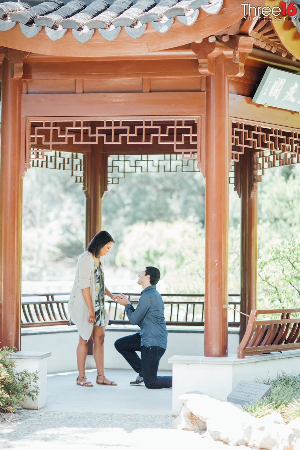 Groom to be gets down on one knee to propose marriage in the gazebo at The Huntington Library & Gardens