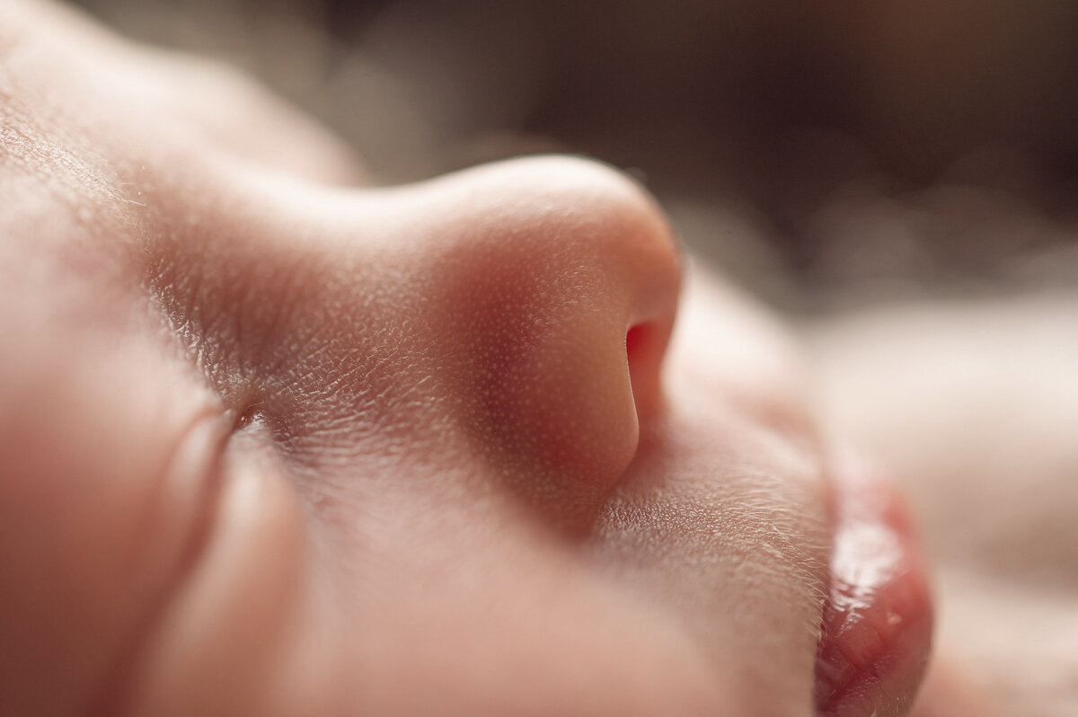 Newborn portrait detail shot showing very close up profile of baby eye, nose lips. Kara Reese Photography, Waukesha Wisconsin.