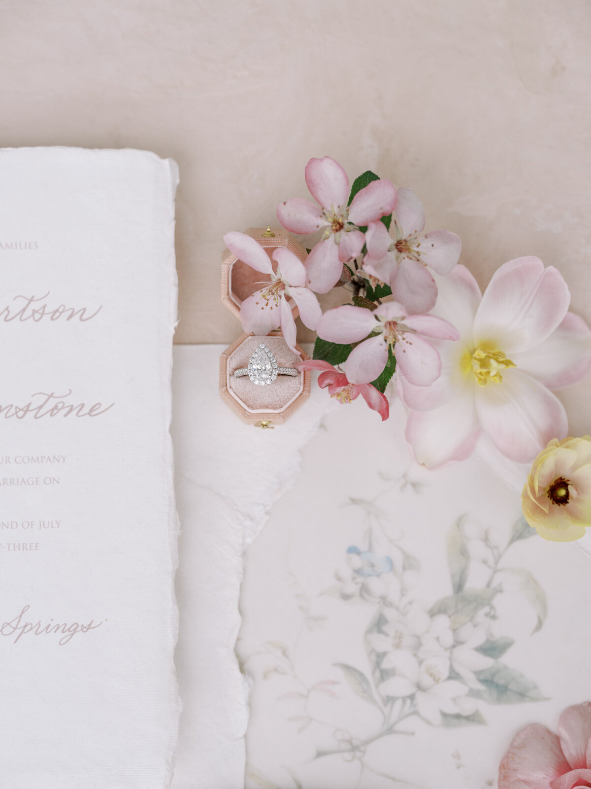 haute-stock-photography-subscription-fleur-collection-final-14