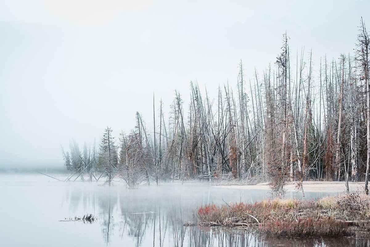 fall-lakeside-sawtooth-mountains-elopement