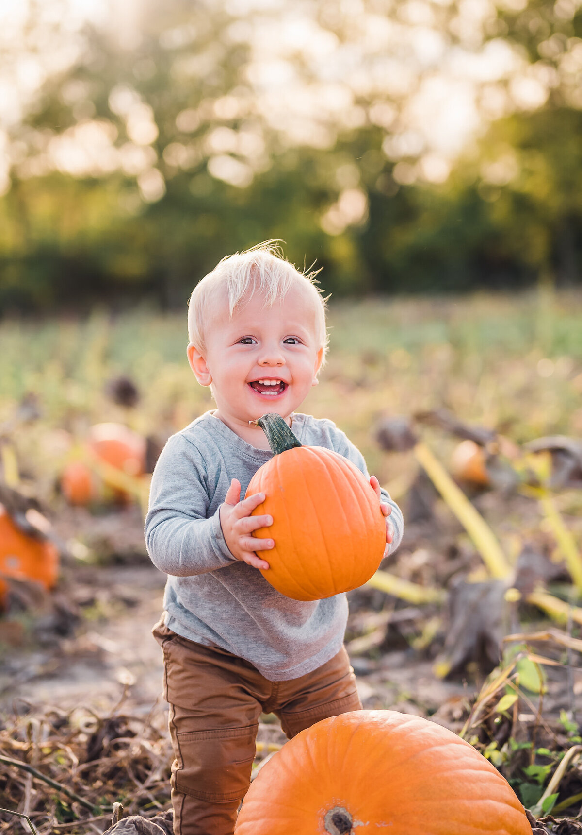Little boy holding pumpkin
