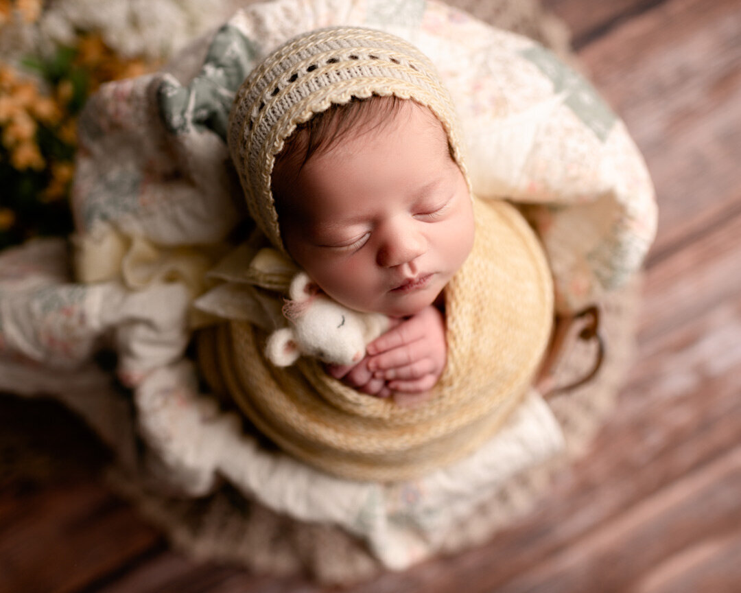 Brighton Newborn Photography holding lovie by For The Love Of Photography