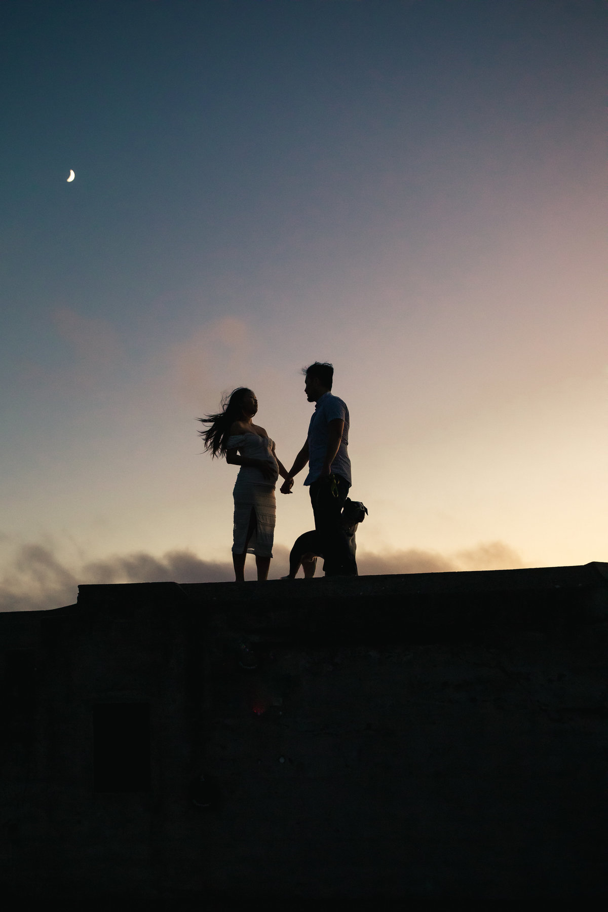 Bay Area maternity couple standing and  holding hands with dog at side. Silhouette with blue sky and moon above