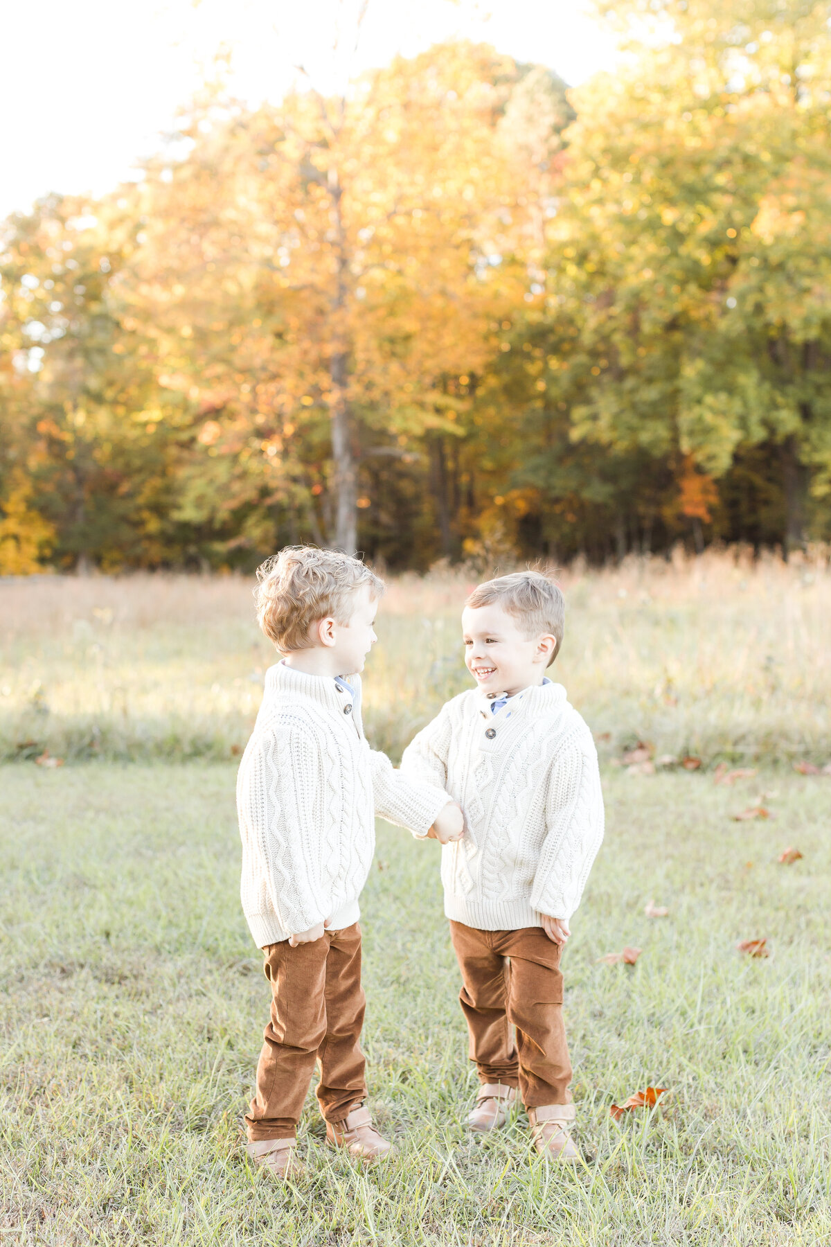 Twin toddler boys looking at each other smiling and holding hands outside by nova family photographer
