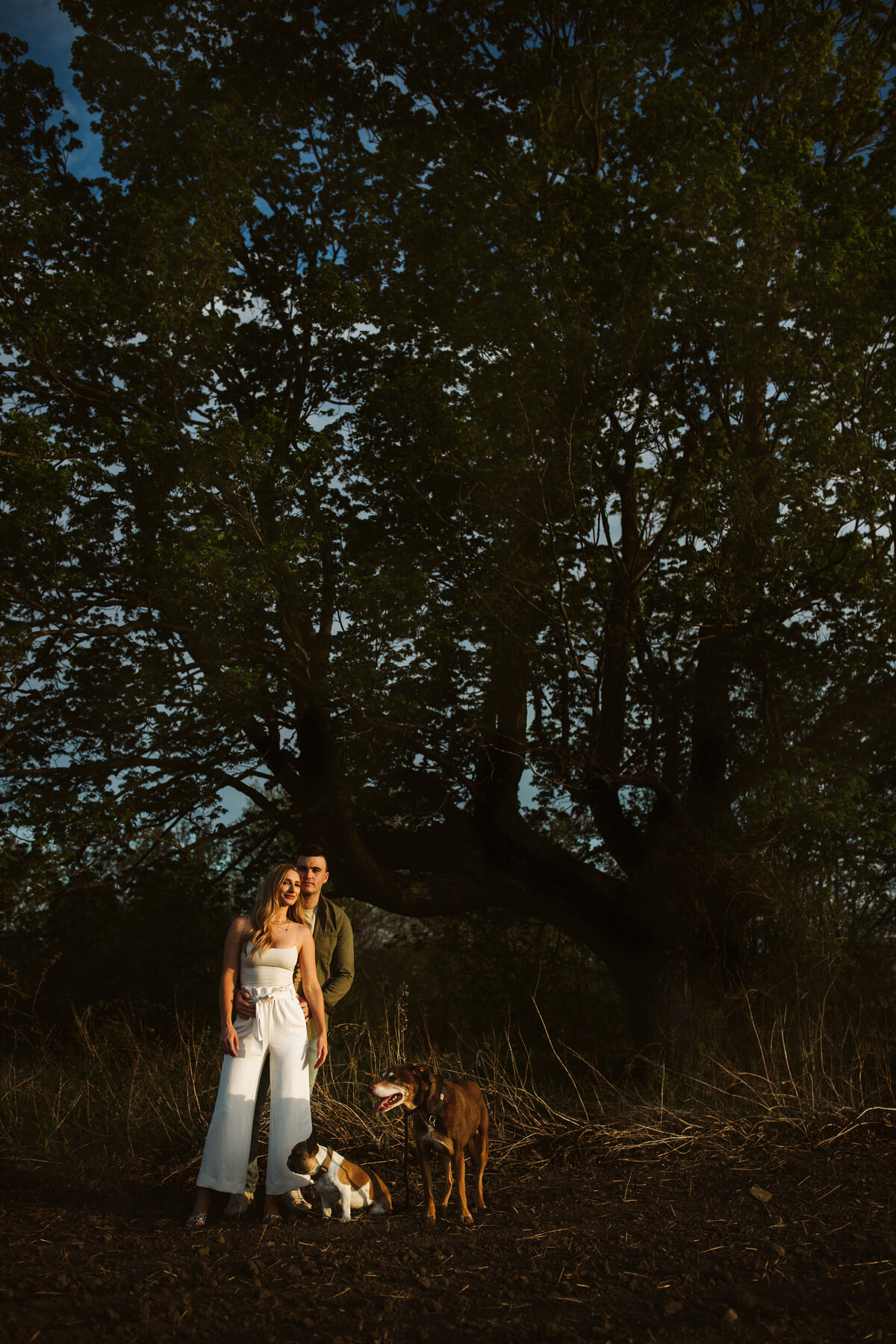 Durham Ontario Sunset shoot with couple and their dogs
