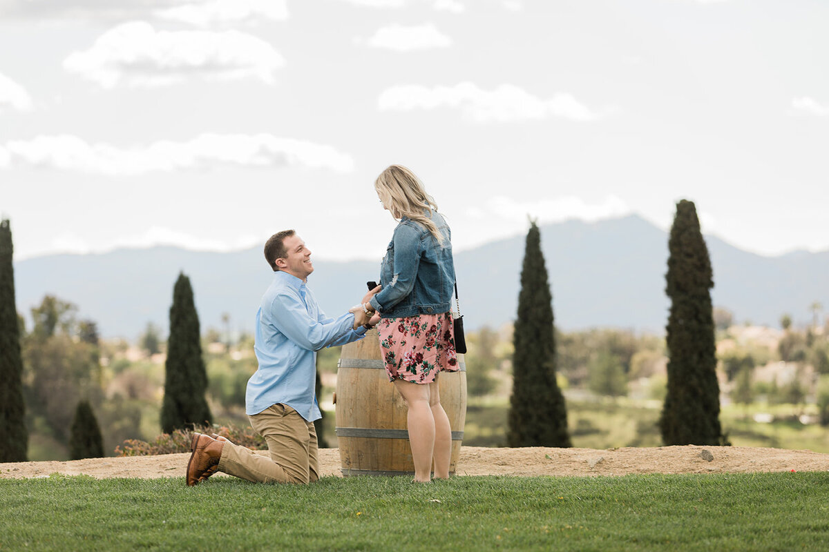 Callaway-Winery-Proposal-Photography-45