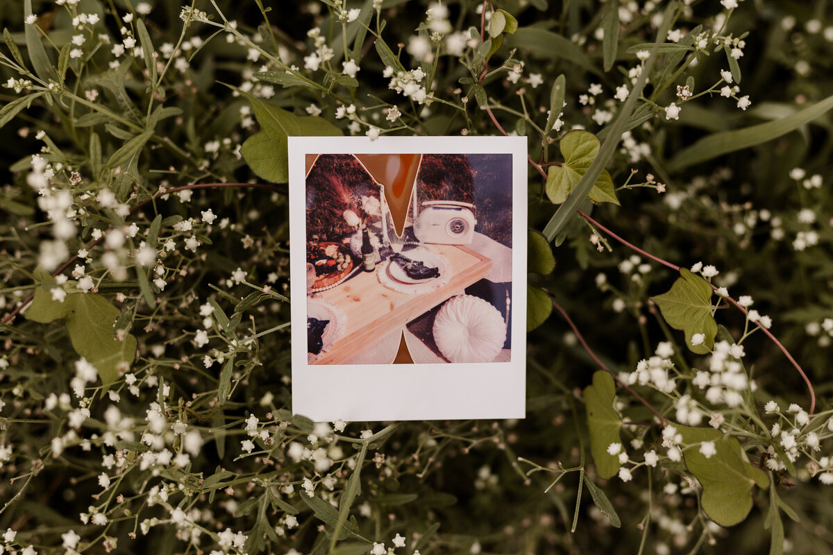 Polaroid Colorado Elopement