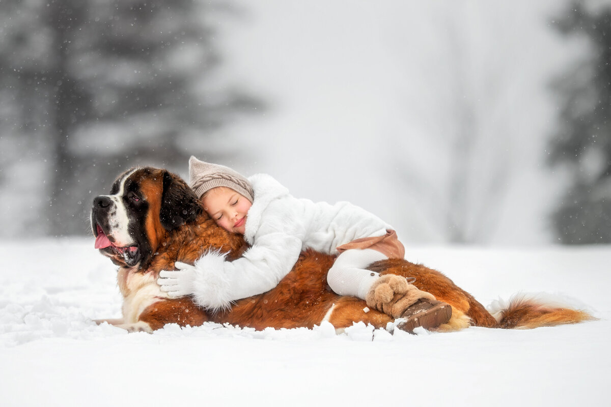 a girl laying down on top of her big dog in the snow