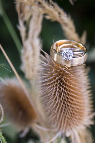 An diamond engagement ring and men's wedding band sit on a cattail.