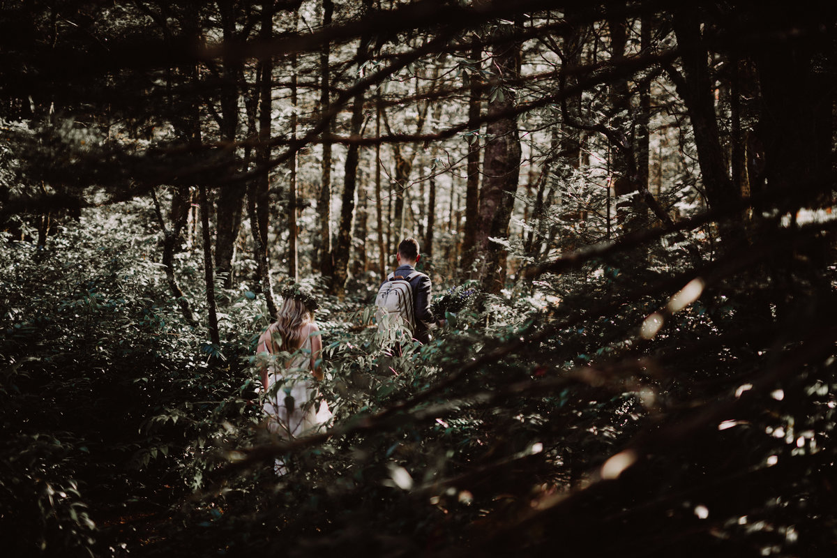 Bride and Groom hiking to elope in Pisgah