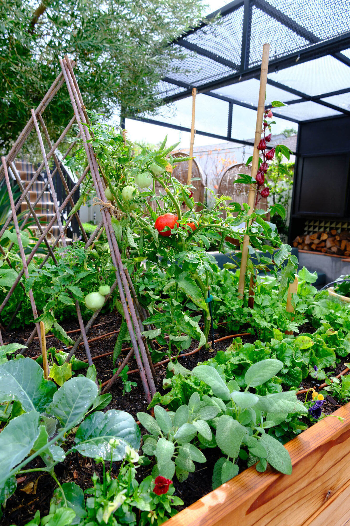 Willows-Garden-Le-Potager22