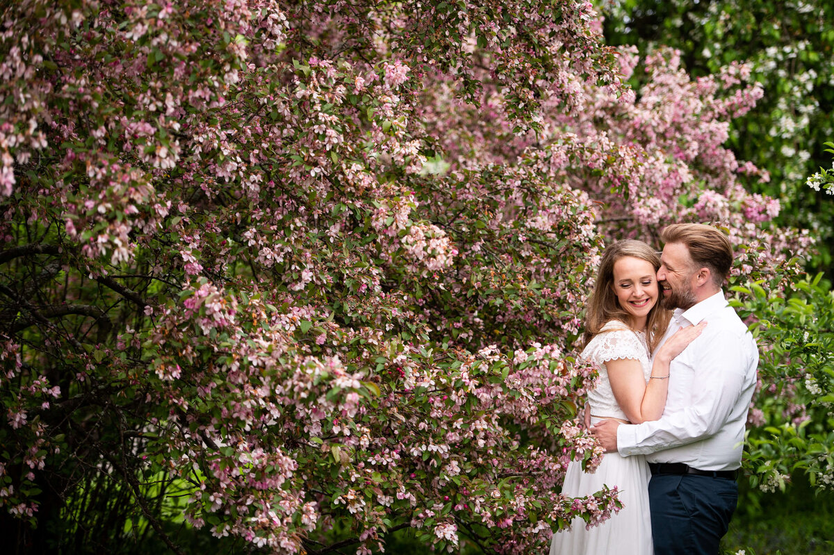 mom and dad kiss in the blossoms at the Arboretum.  Captured by Ottawa family photographer JEMMAN Photography