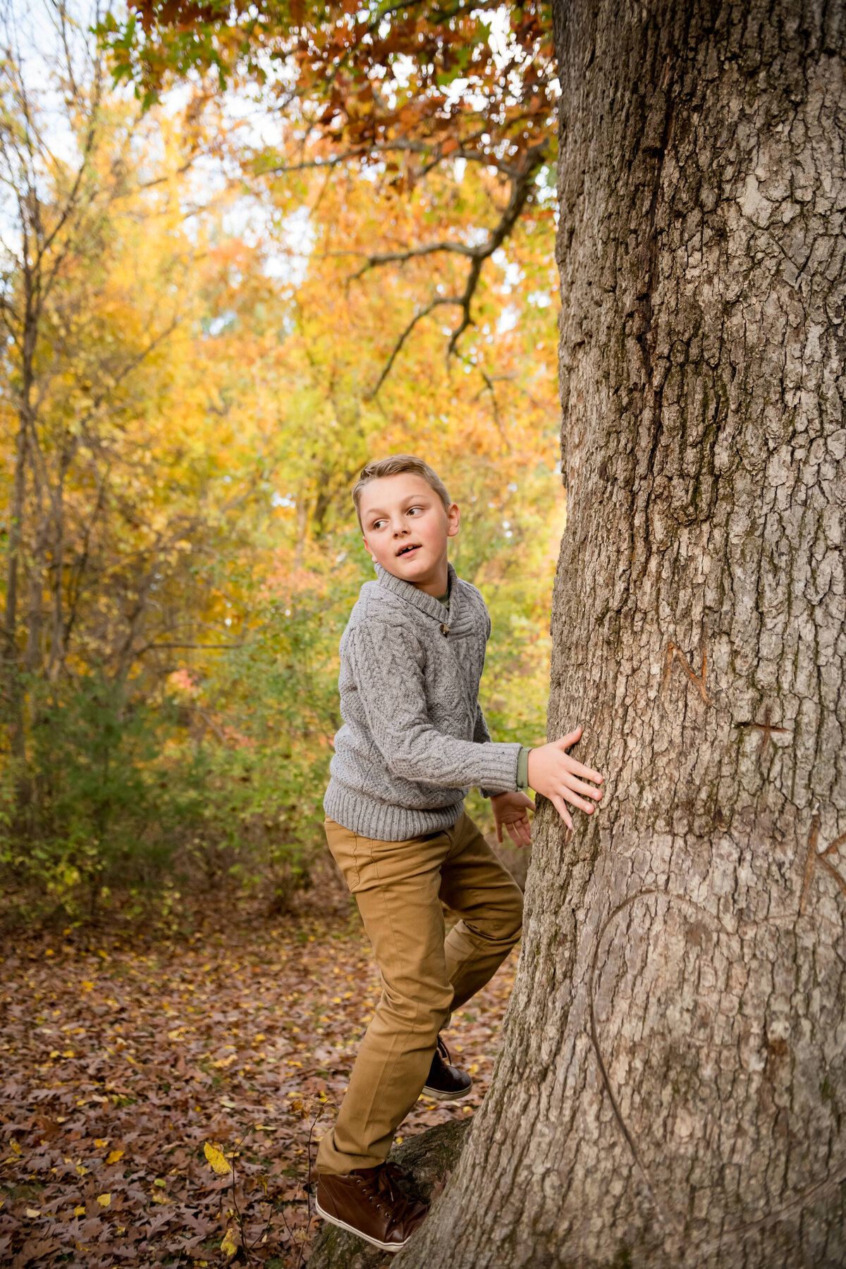 boy climbing tree photo