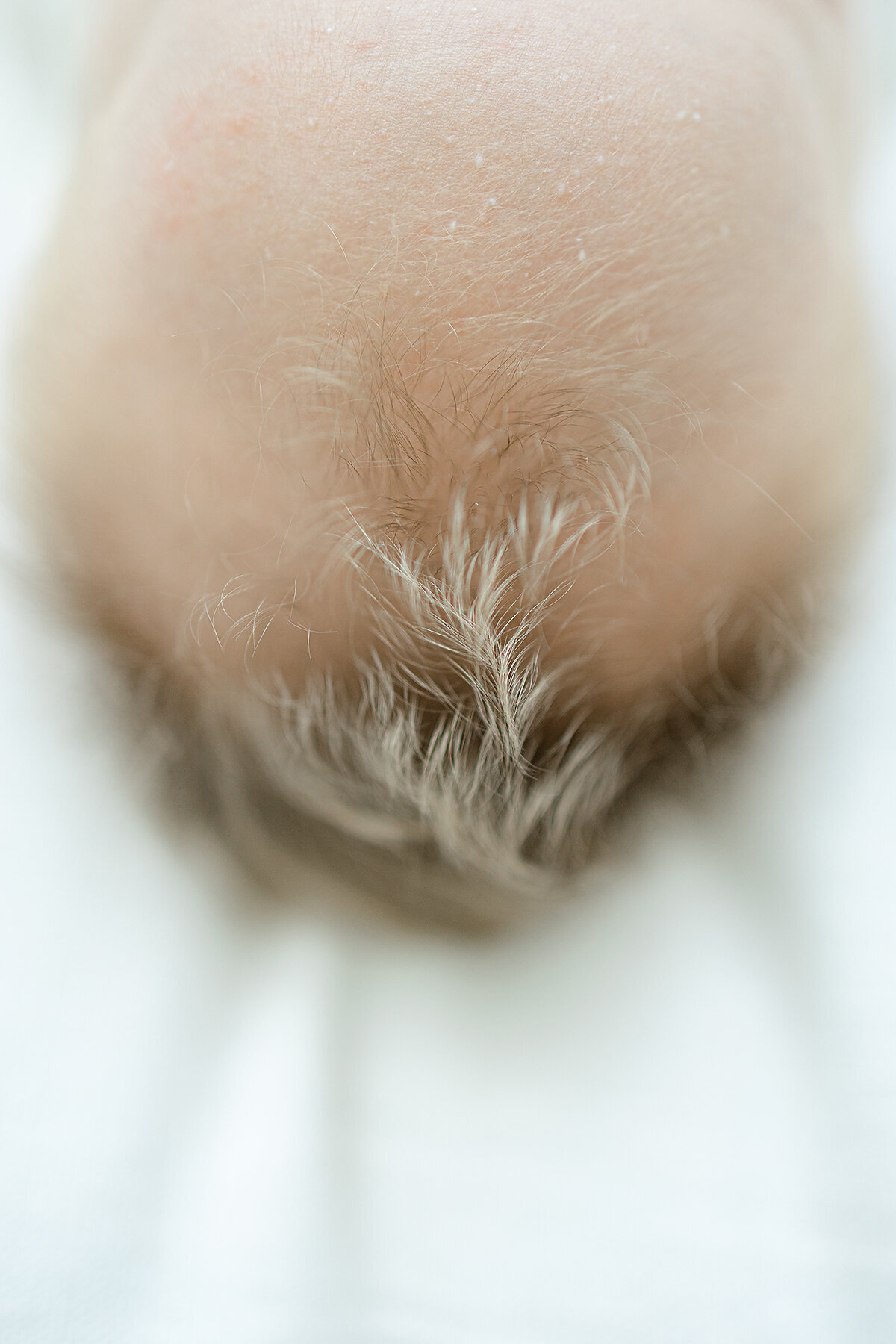 Close up detail photo of a newborn boys hair