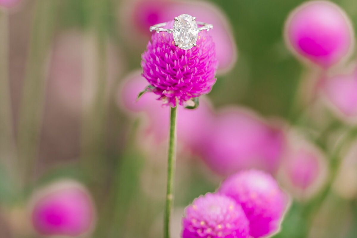 An oval engagement ring on a purple flower by Raleigh wedding photographer, JoLynn Photography